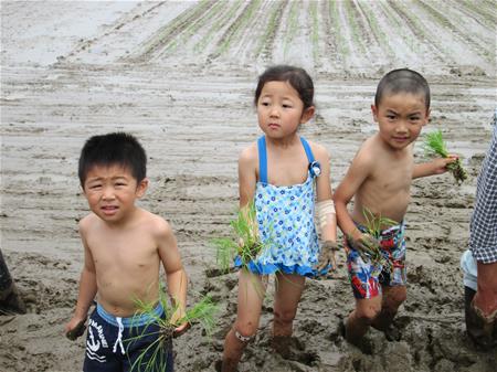 田植えをする子ども3