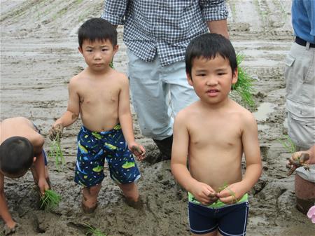 田植えをする子ども4