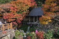 鍋島藩窯公園の紅葉