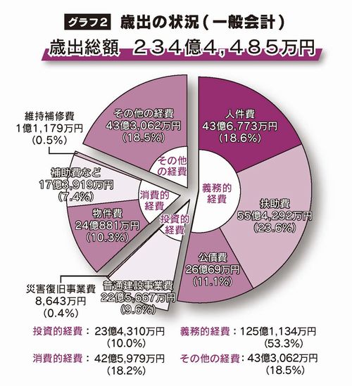 一般会計歳出の状況のグラフ