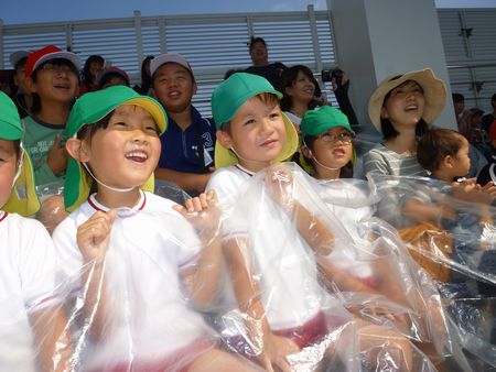 イルカショーを見る子ども