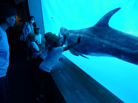 水族館での子ども