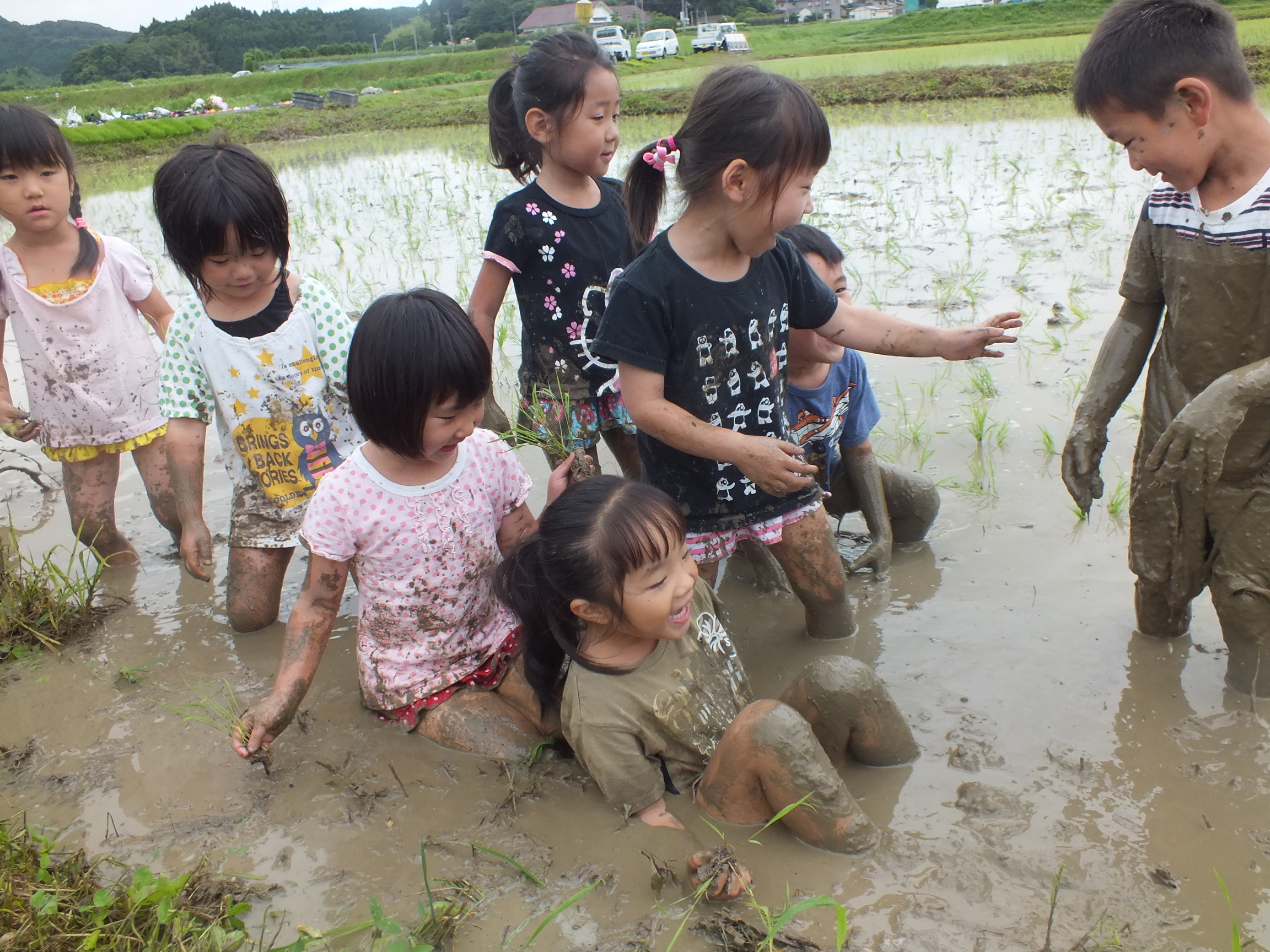 田植え