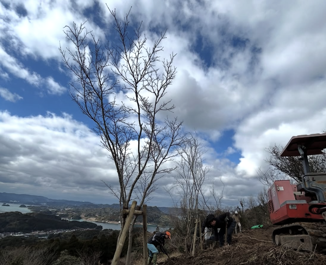 波多津植樹写真1