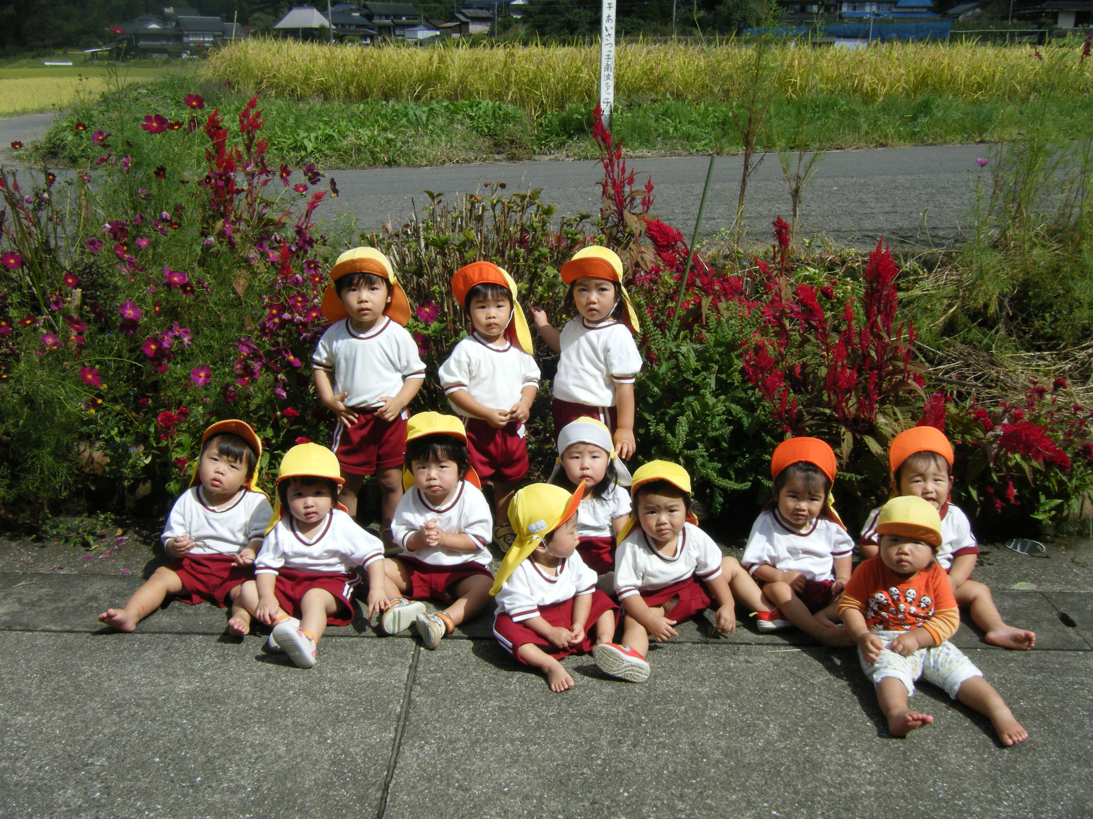 はと組集合写真