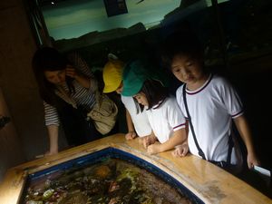 海きららの様子