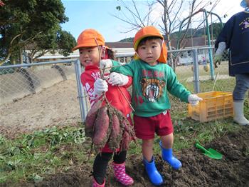 子どもたちが掘れた芋を手に提げている写真