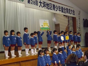 発表の様子