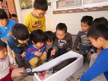 大きなぶりの魚を子供たちが見ている写真