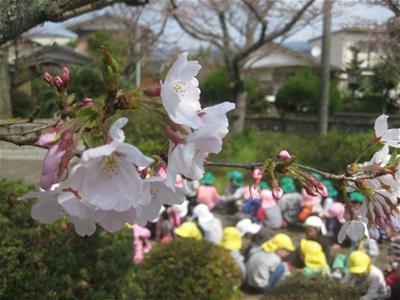 進級が楽しみです