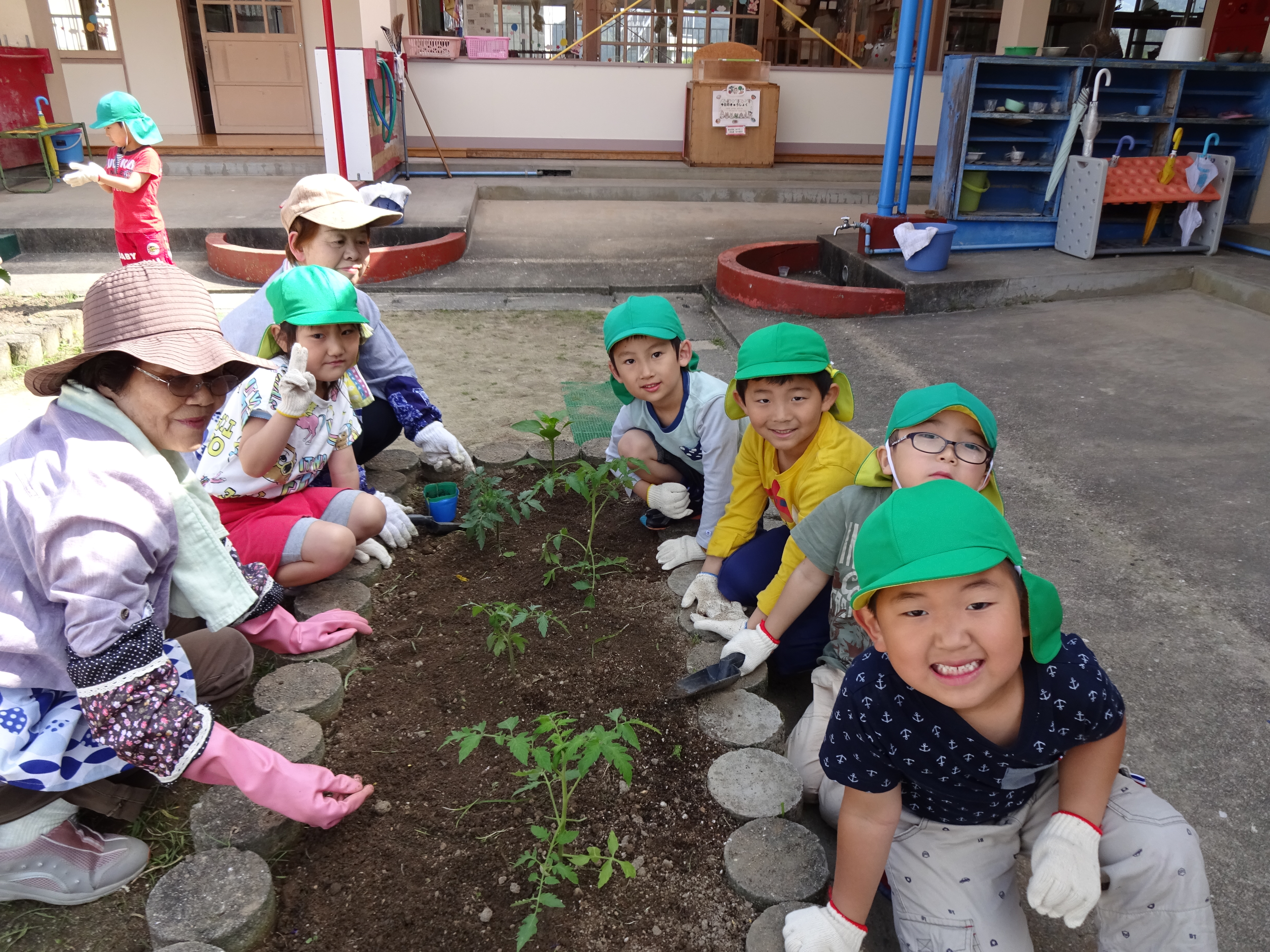 野菜の苗植えの様子