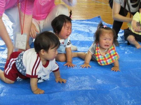 はいはいレース