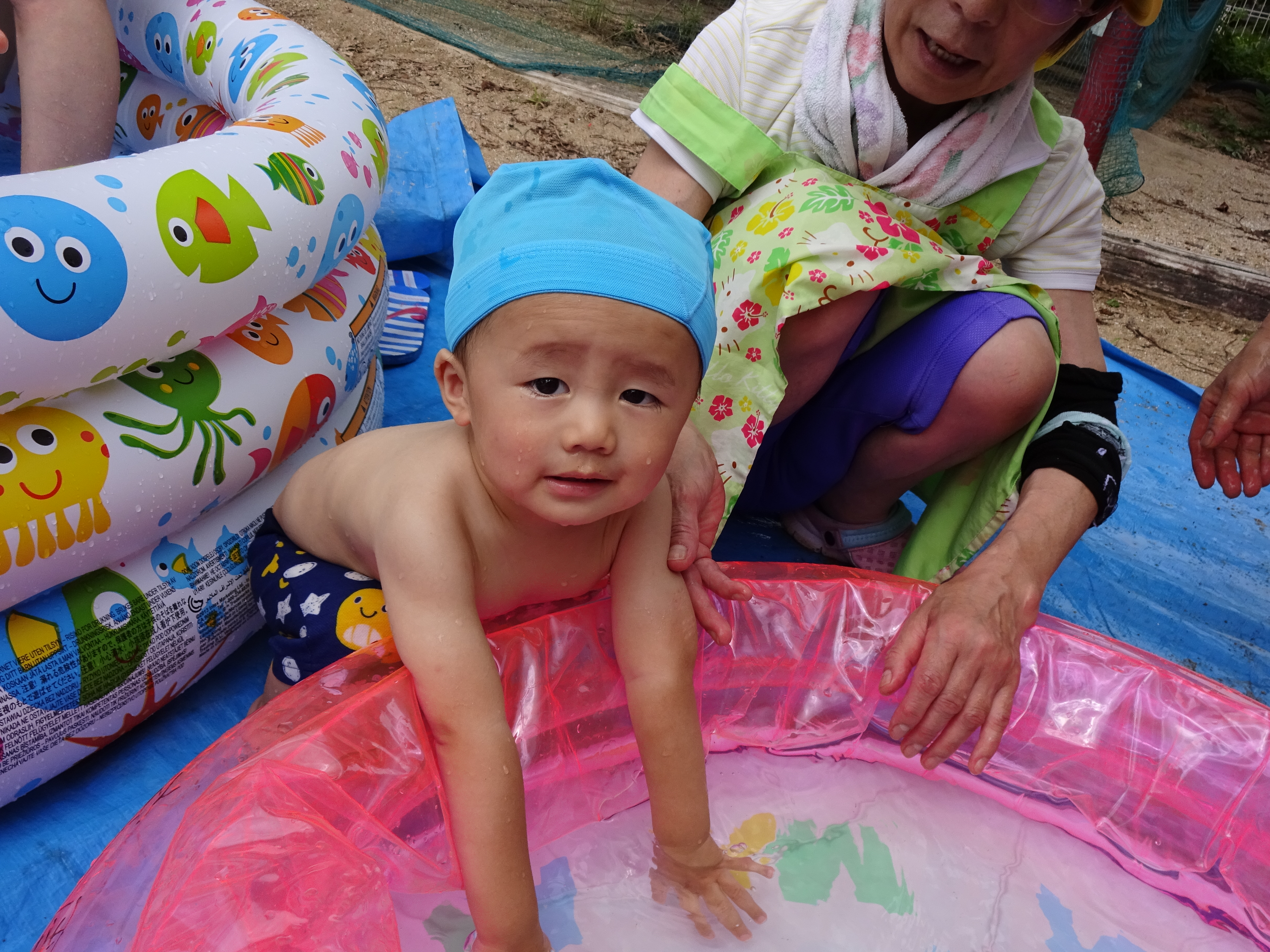 プール遊び　はと組