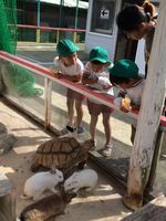 メルヘン村６