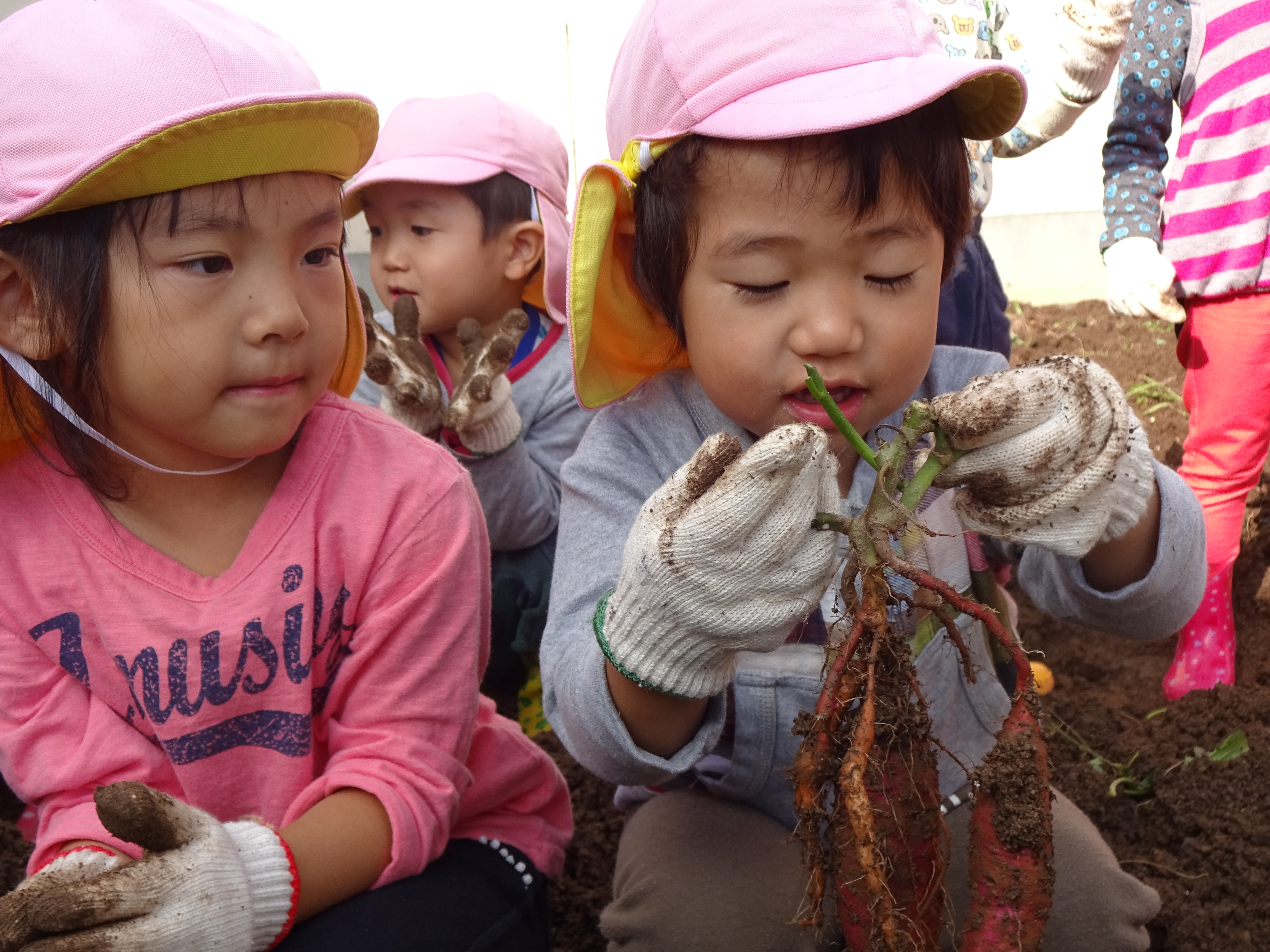 お芋ほり　もも組
