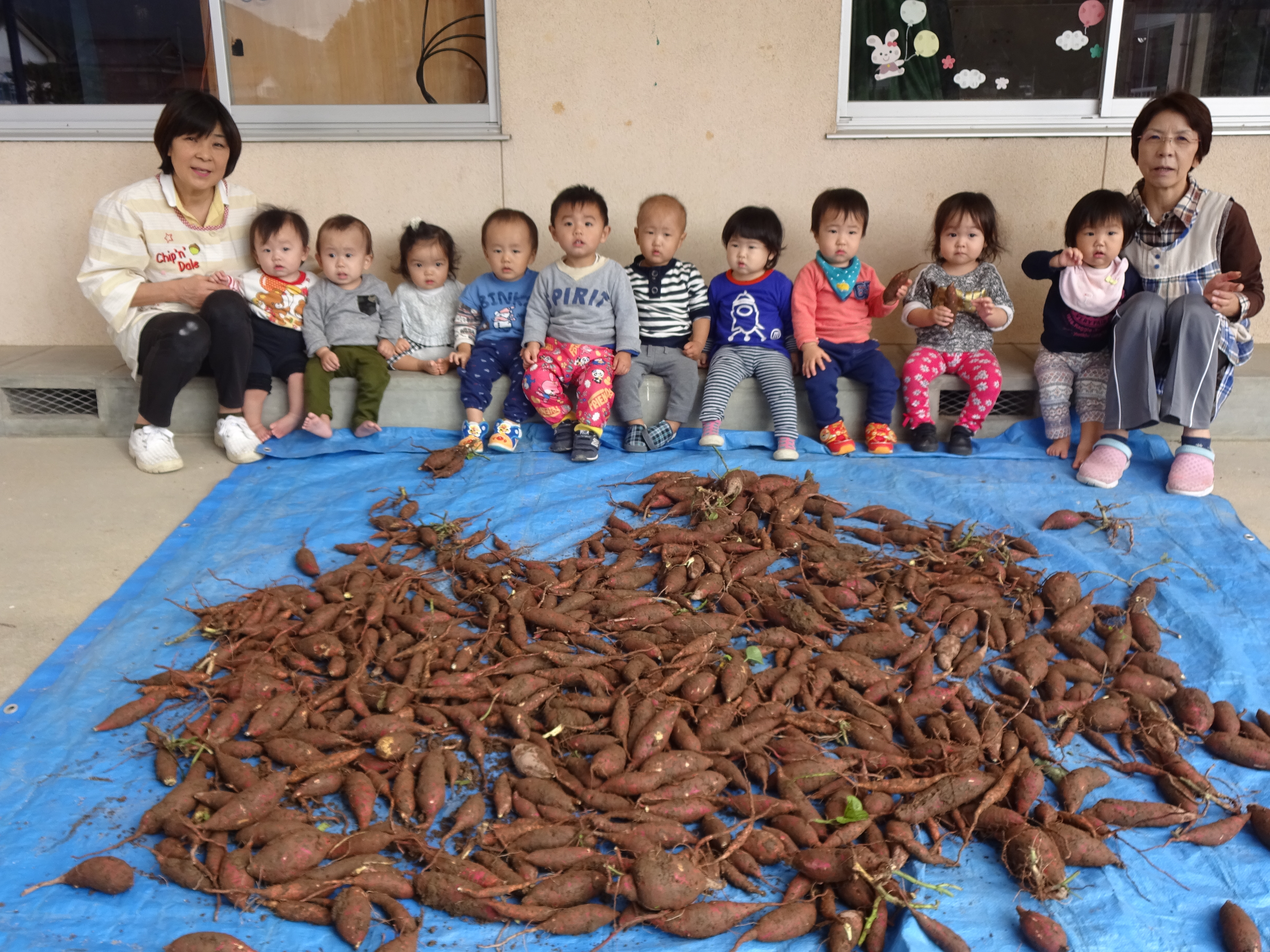 お芋ほり　こんなにたくさんとれたよ