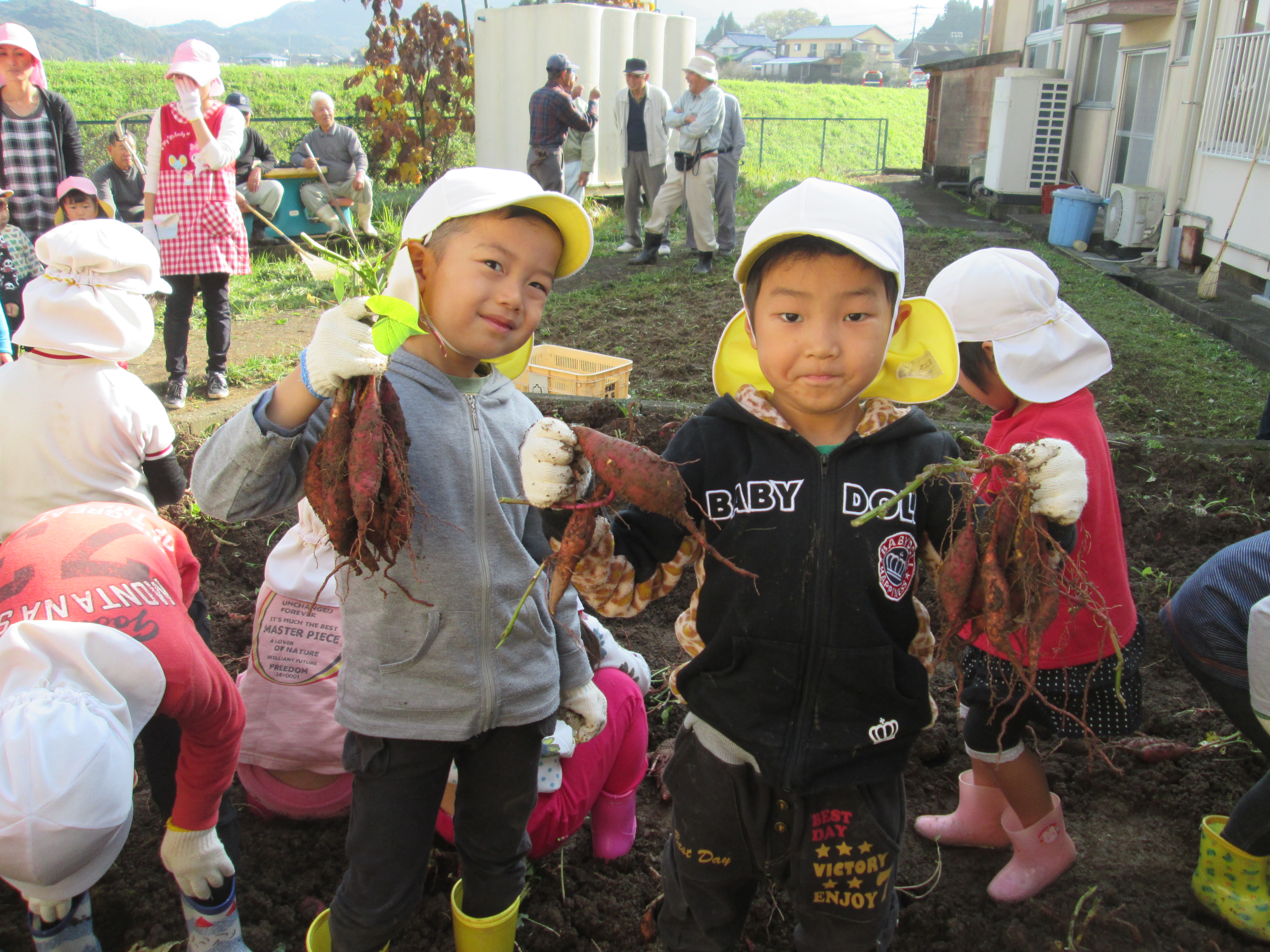 お芋ほり　ゆり組