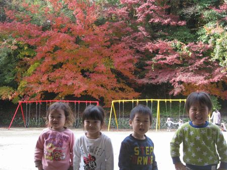紅葉とばらぐみさん