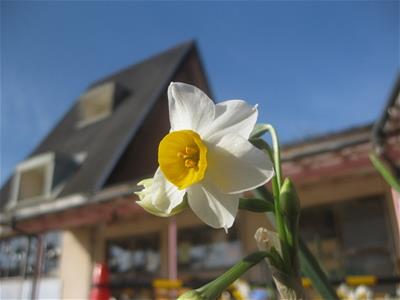 1月も頑張ろう