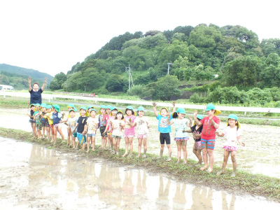 田植え