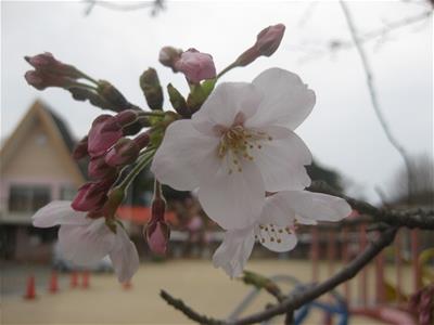 今年度もよろしくお願いします