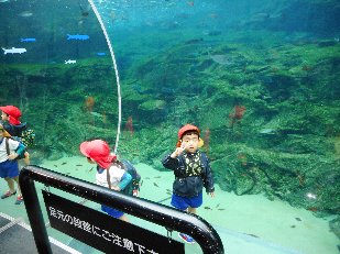 海きらら