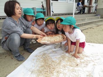 5月 24
