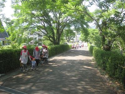 保育園の上にある大坪小学校まで歩きました