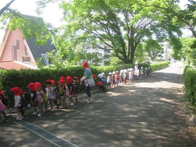 一生懸命歩きました