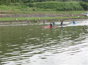 有田川カワニバルのようす