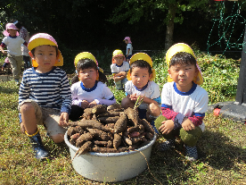 芋掘り