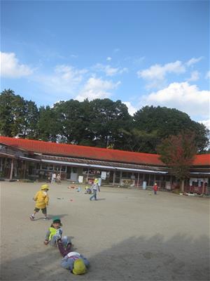 みんな気持ちよさそうに遊んでいます。これからも元気で過ごそうね。