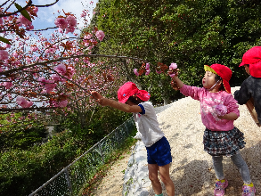 ゆり組遊び
