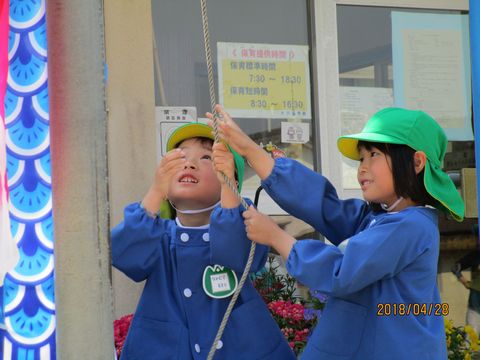 こいのぼりを揚げている様子