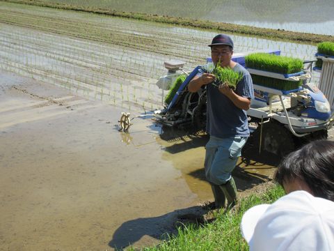 田植え　説明風景
