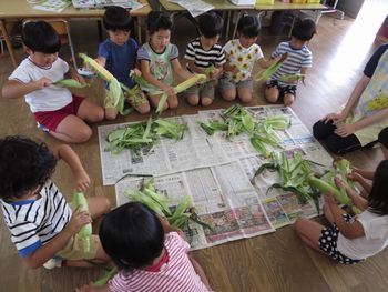 とうもろこし２枚目