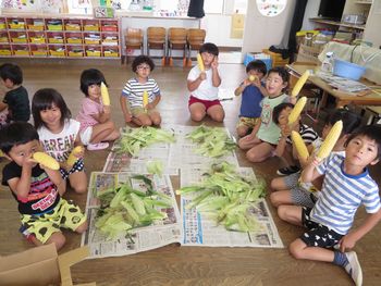 とうもろこし３枚目