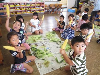 とうもろこし４枚目