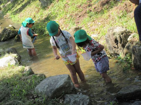 川遊びの様子