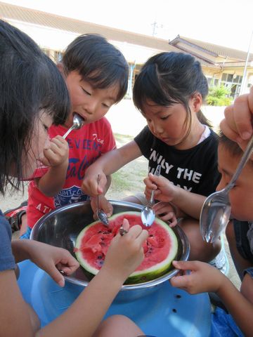 スイカを食べている様子