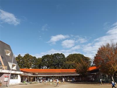 天気に恵まれた、美しい秋空です