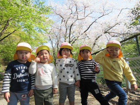 桜の木の下で