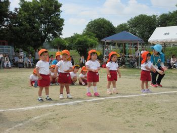 運動会の様子 ばら組