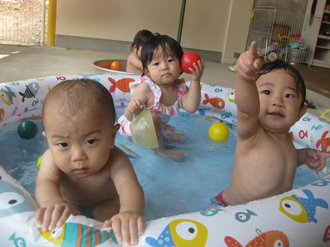 ひよこプール