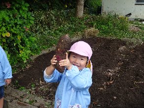 芋ほり