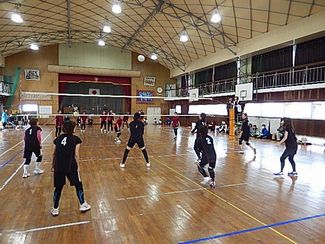 volley1