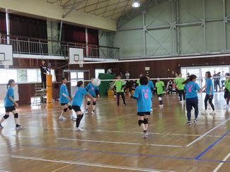 volley2