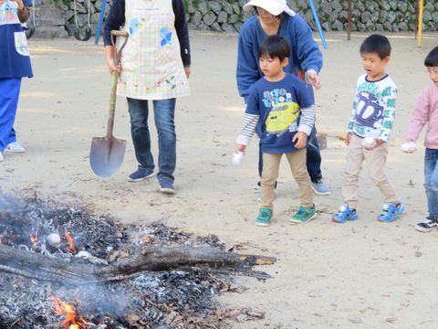 焼き芋4