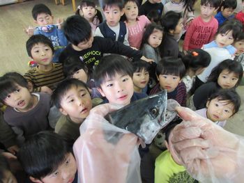 魚を見つめる様子