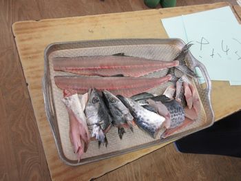 さばいた様子